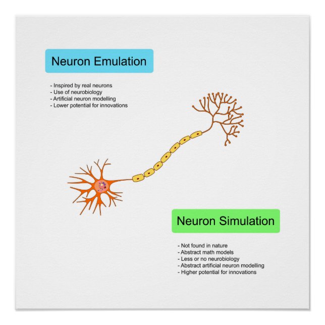 Neurons Poster (Front)