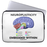 Neuroplasticity Embedded Within (Brain Anatomy)