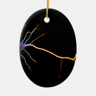 Neuroscience, neuron, science ceramic tree decoration