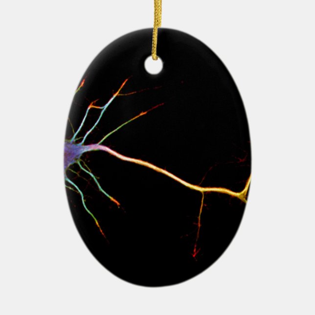 Neuroscience, neuron, science ceramic tree decoration (Front)