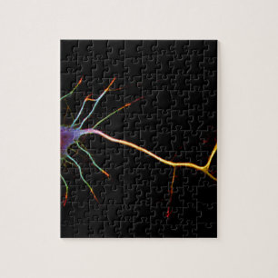Neuroscience, neuron, science jigsaw puzzle