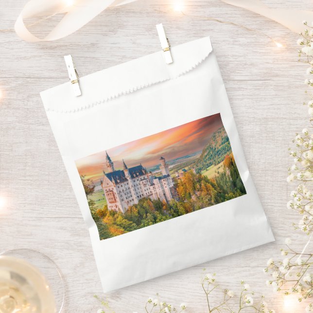 Neuschwanstein castle favour bags (Clipped)