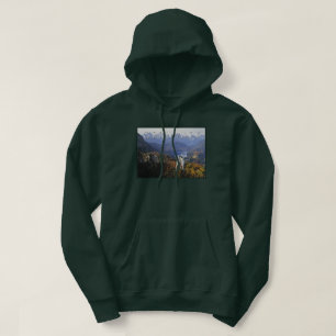 Neuschwanstein Castle   Germany, Bavaria Hoodie