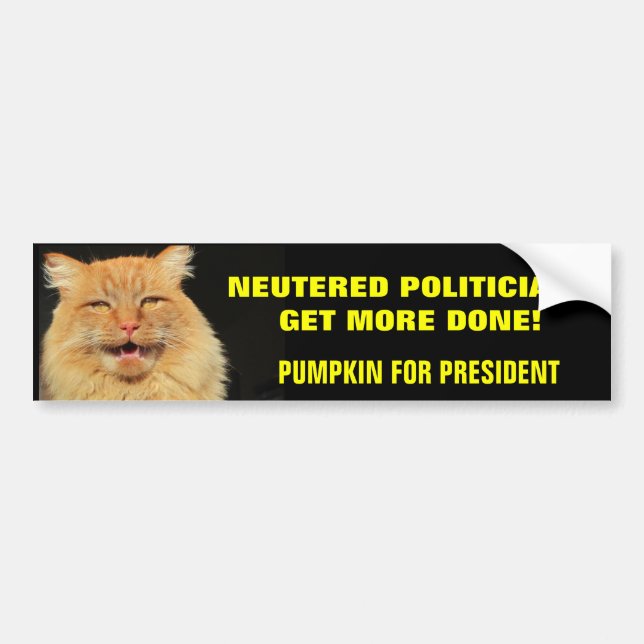 Neutered Politicians Get More Done Elect Pumpkin Bumper Sticker (Front)