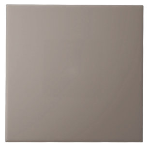 Neutral Clay Color Ceramic Tile. Tile