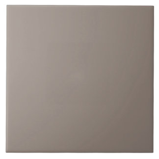 Neutral Clay Color Ceramic Tile. Tile