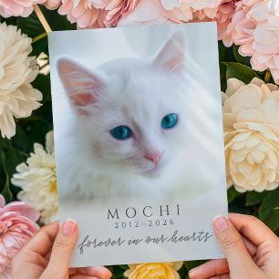Neutral Custom Photo Name Years Pet Loss Memorial Card