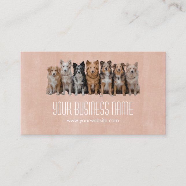Neutral Dog Walker / Pet Sitter Business Card  (Front)