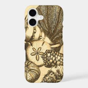 Neutral Shells and Coral Collection