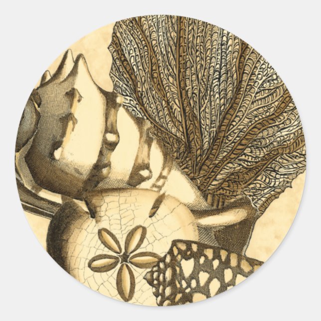Neutral Shells and Coral Collection Classic Round Sticker (Front)