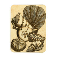 Neutral Shells and Coral Collection