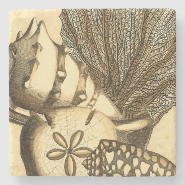 Neutral Shells and Coral Collection Stone Coaster (Front)