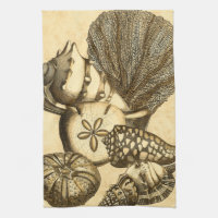 Neutral Shells and Coral Collection