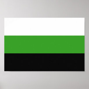 Neutrois Pride Poster