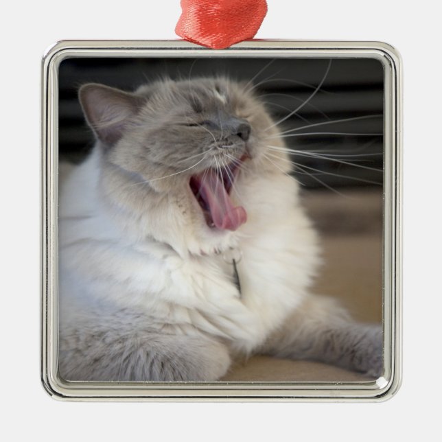 Neva Masquerade cat yawning Metal Tree Decoration (Front)