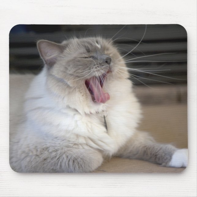 Neva Masquerade cat yawning Mouse Pad (Front)
