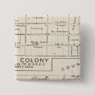 Nevada Colony 15 Cm Square Badge