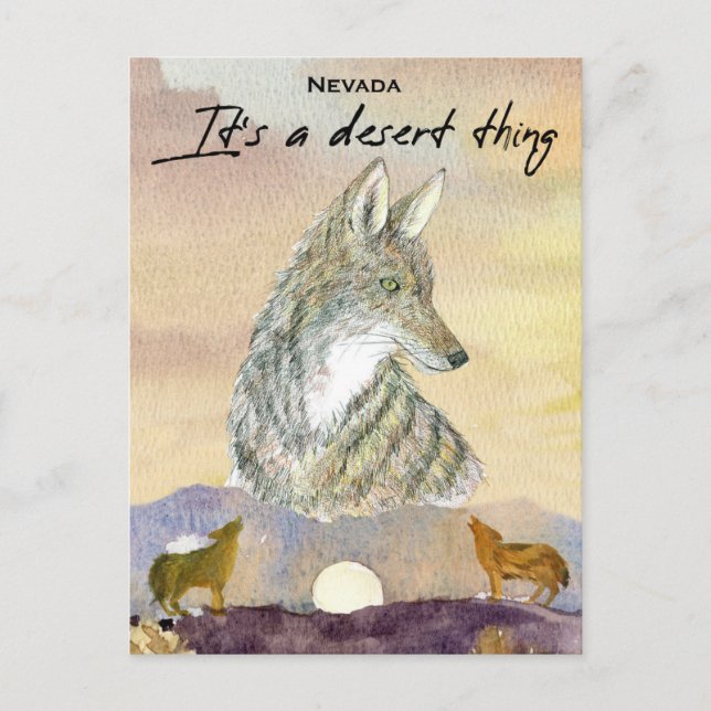 Nevada Coyote It's A Desert Thing Sunrise Postcard (Front)