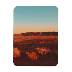 Nevada Desert Magnet