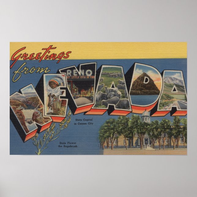 Nevada (State Capital/Flower) Poster (Front)