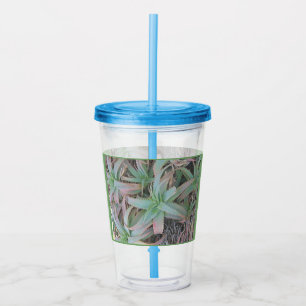 Nevada succulents acrylic tumbler