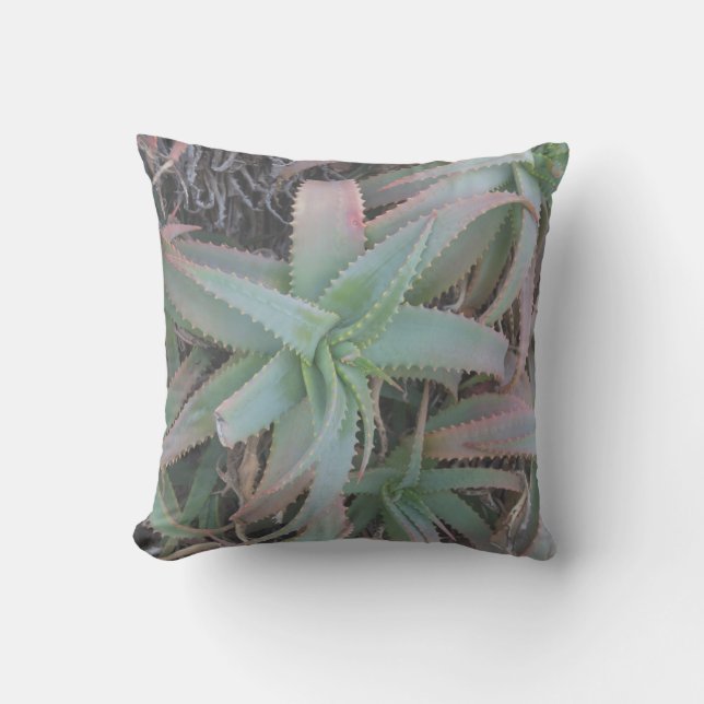Nevada succulents cushion (Front)