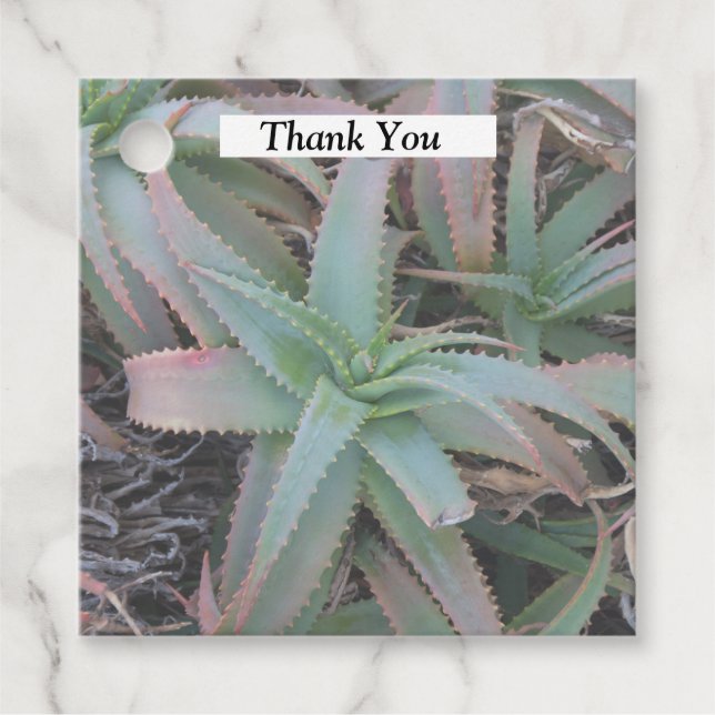 Nevada succulents         favour tags (Front)