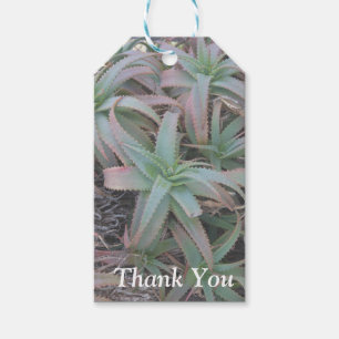 Nevada succulents gift tags