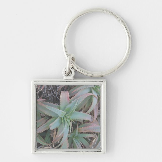 Nevada succulents key ring (Front)