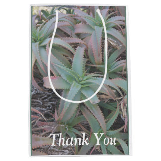 Nevada succulents       medium gift bag