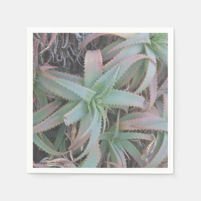 Nevada succulents napkin (Front)