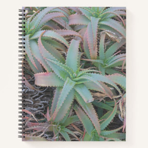 Nevada succulents notebook