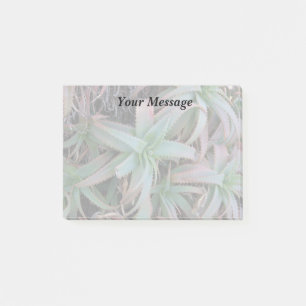 Nevada succulents post-it notes