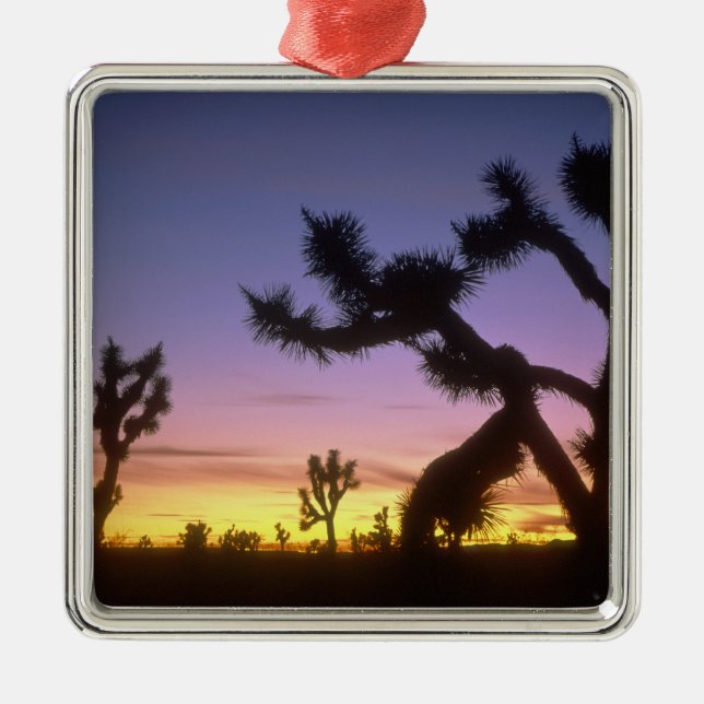 NEVADA. USA. Joshua trees Yucca brevifolia) Metal Tree Decoration (Front)