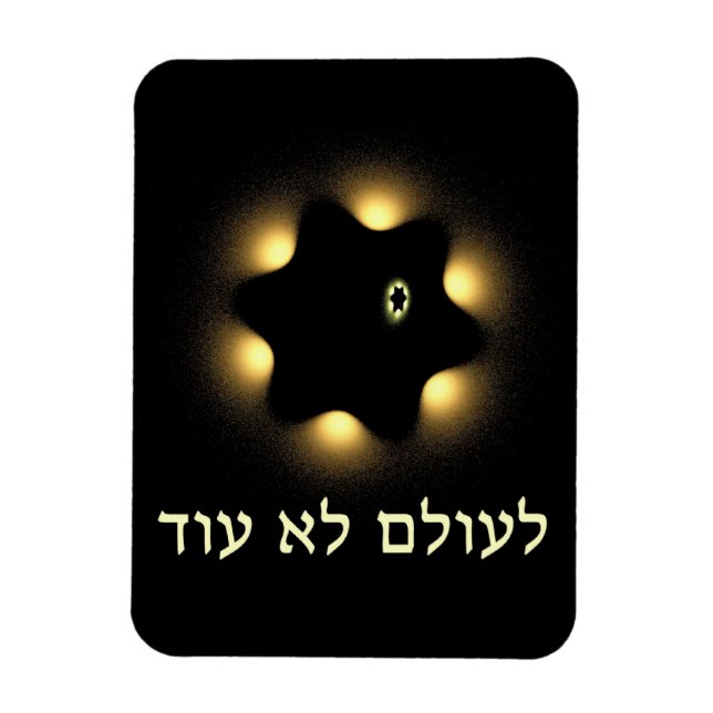 Never Again Fractal Star Of David Magnet (Vertical)