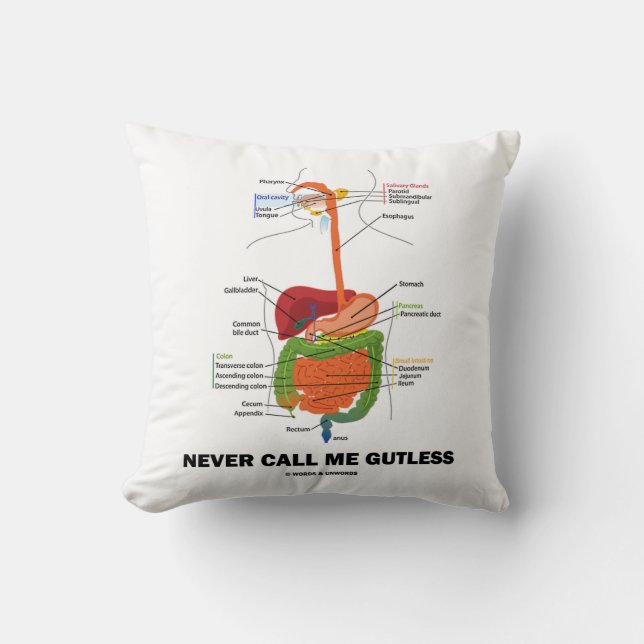 Never Call Me Gutless (Digestive System Humour) Cushion (Front)