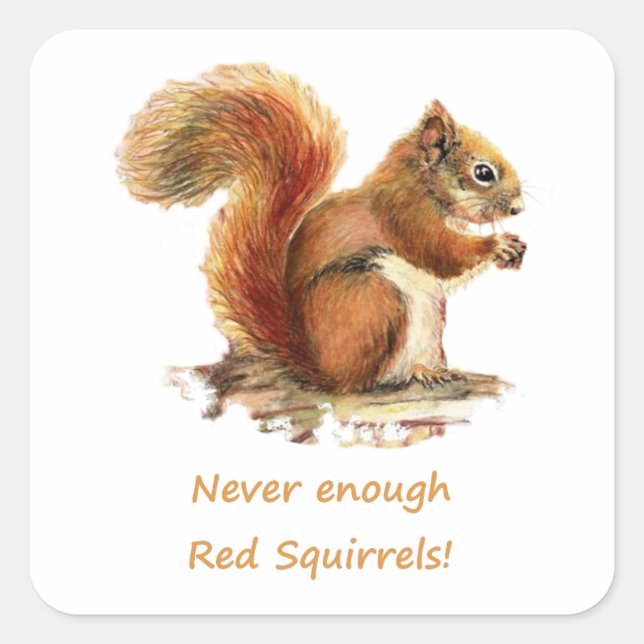 Never Enough Red Squirrels Fun Animal Quote Square Sticker (Front)