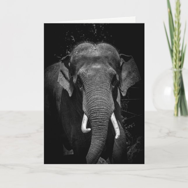 Never forget a Birthday Card (Front)