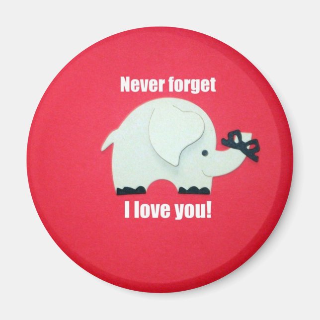 Never forget I love you! Magnet (Front)