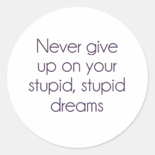 Never Give Up On Your Stupid Dreams Classic Round Sticker