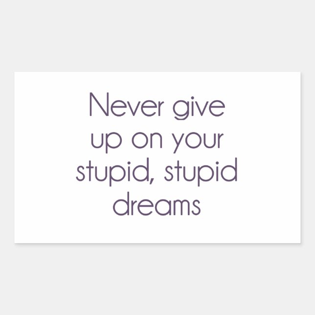 Never Give Up On Your Stupid Dreams Rectangular Sticker (Front)