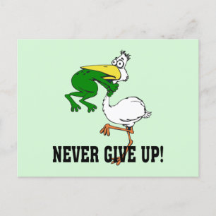 Never Give Up Pelican and Frog Postcard