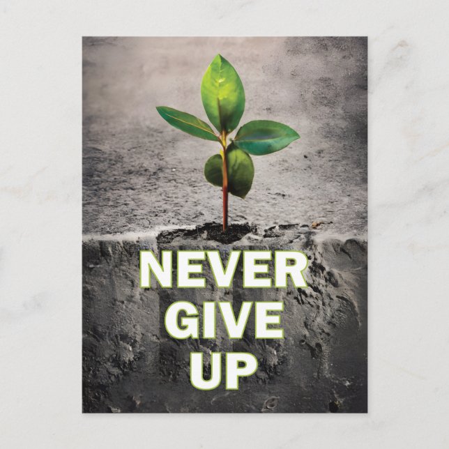 Never Give Up Postcard (Front)