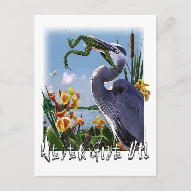 Never Give Up! Postcard (Front)