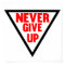 Never Give Up