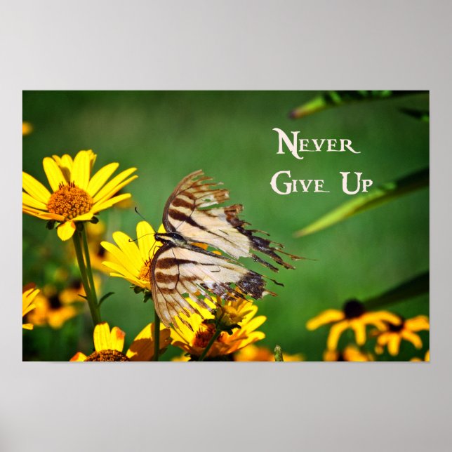 Never Give Up Poster (Front)