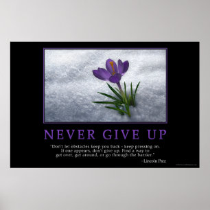Never Give Up Poster