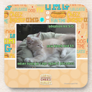 Never living in a cage again coaster