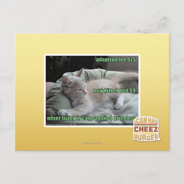 Never living in a cage again postcard (Front)