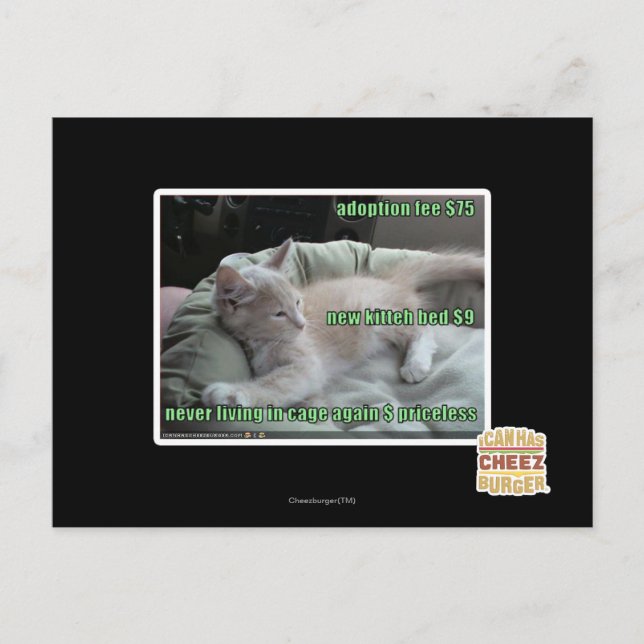 Never living in a cage again postcard (Front)